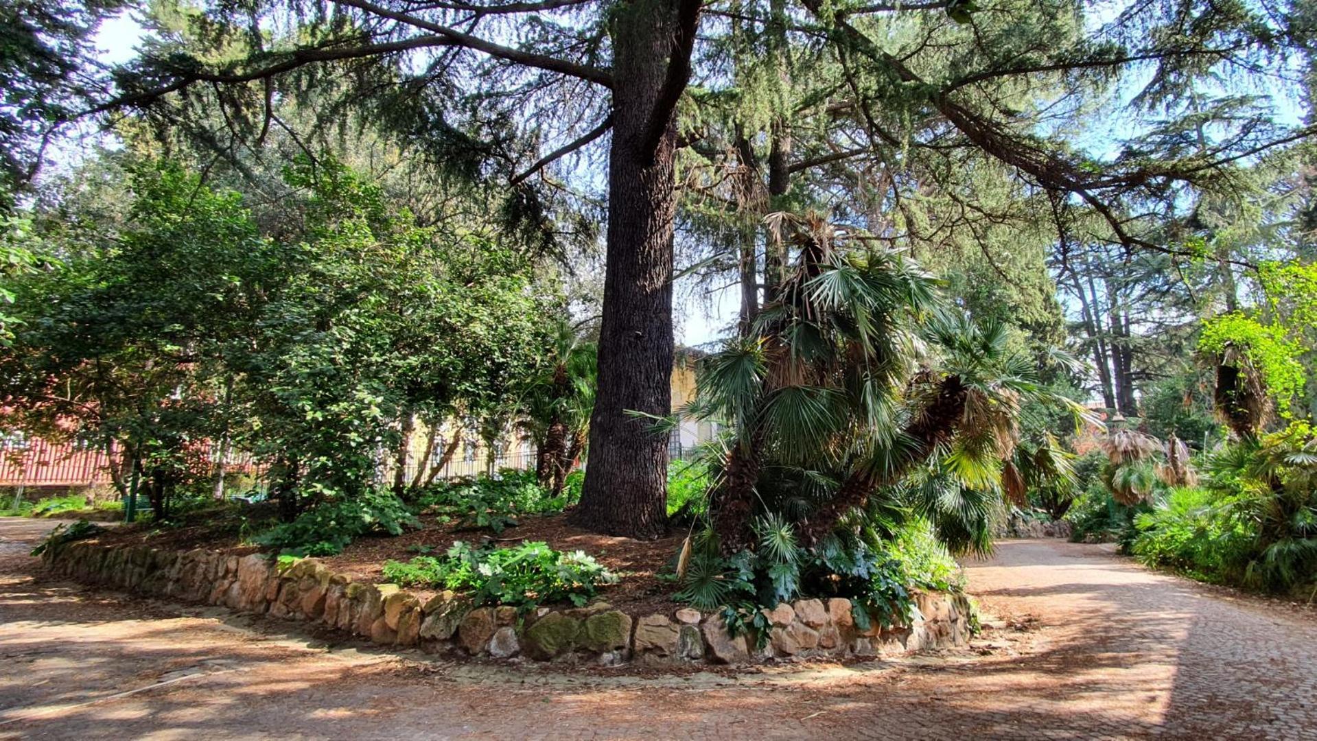 דירות רומא Mamomi House מראה חיצוני תמונה